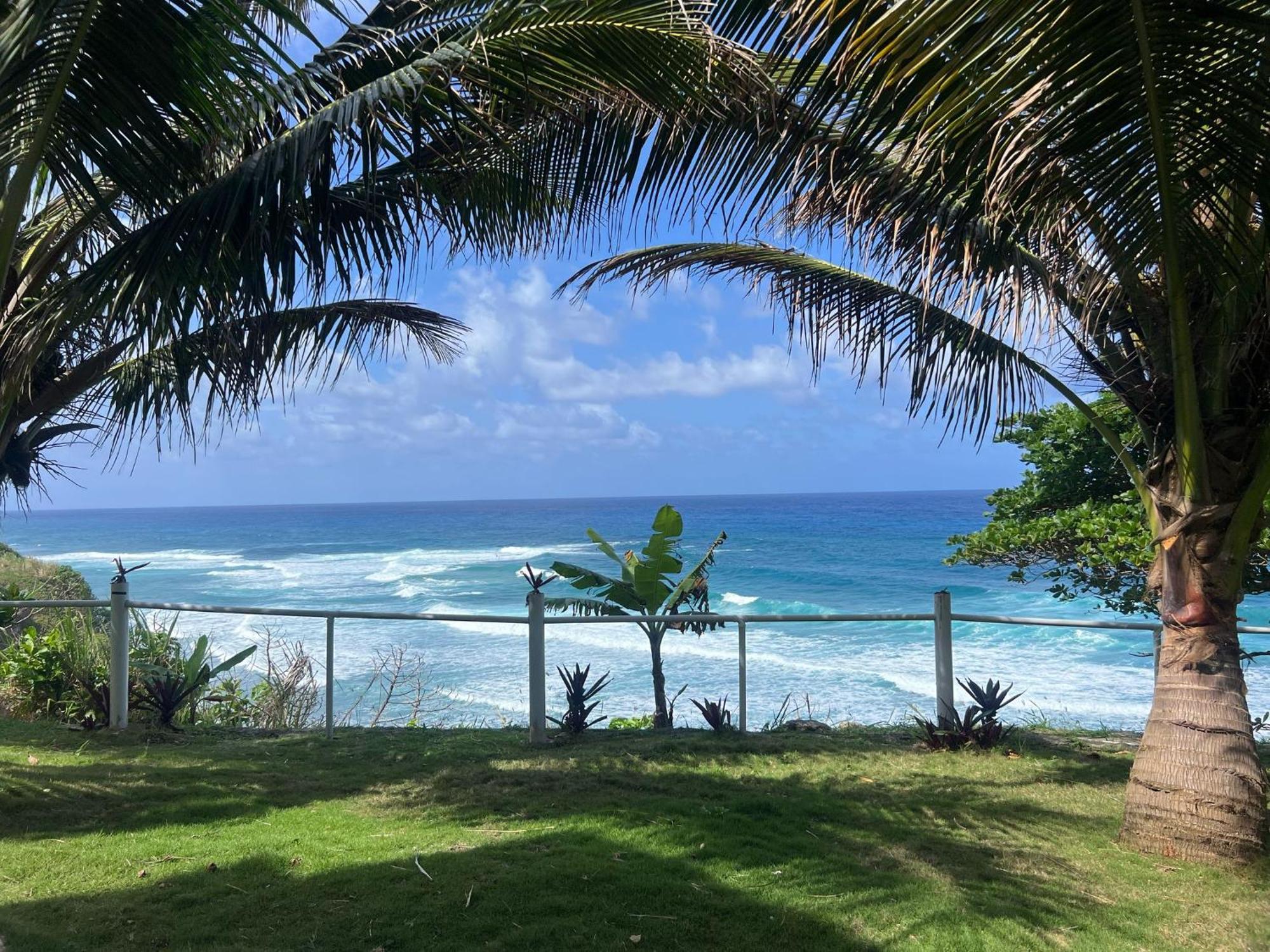 The Sea Cliff Hotel Resort & Spa ปอร์ตอันโตนิโอ ภายนอก รูปภาพ